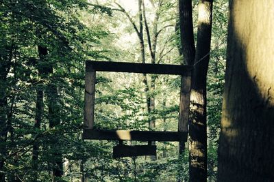 Tree trunk in forest