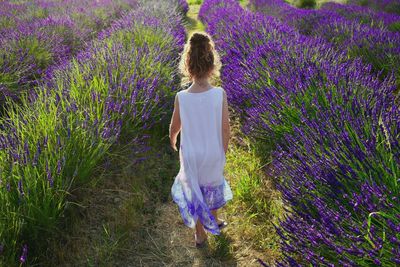 Rear view of little woman standing on lavender field