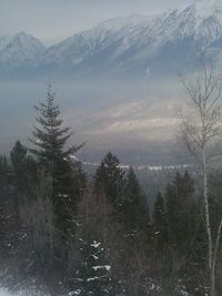 Scenic view of snow covered mountains