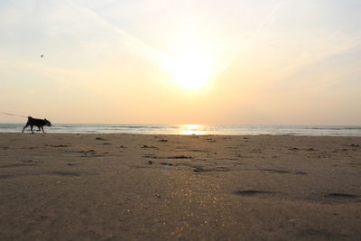 Scenic view of beach against sky during sunset