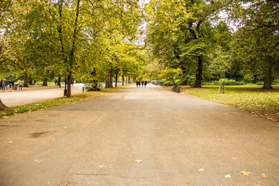 Road amidst trees in park during autumn