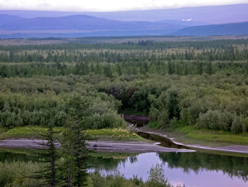 Scenic view of lake and trees against sky