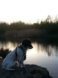 Scenic view of lake at sunset