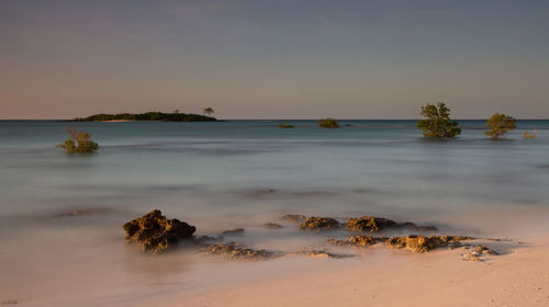 Scenic view of sea against clear sky