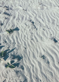 High angle view of footprints on snow covered land