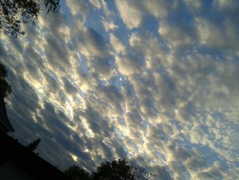 Low angle view of trees against cloudy sky