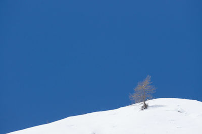 Snow covered landscape against clear blue sky