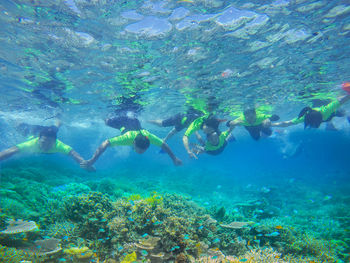 People swimming in sea