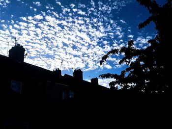 Low angle view of silhouette trees and buildings against sky