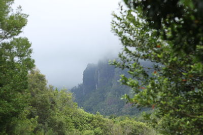 Scenic view of trees and mountains against sky