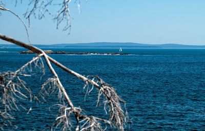 Scenic view of sea against clear blue sky