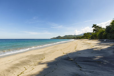 Scenic view of beach against blue sky