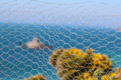 Close-up of chainlink fence against sea and sky