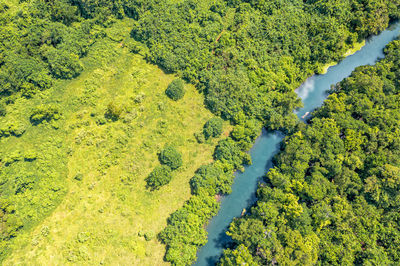 Incredible tourist landscape with a blue river in jungle forests. top view, drone photo. vanuatu.