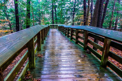 Footbridge amidst trees at riverbank
