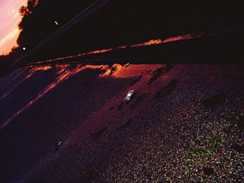 View of trees at night