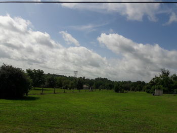 Trees on field against sky