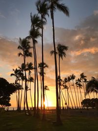 Silhouette palm trees against sky during sunset