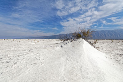 Scenic view of desert against sky