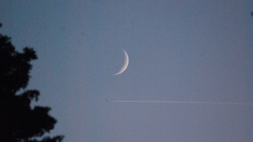 Low angle view of moon in sky at night