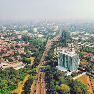 High angle view of trees and buildings in city