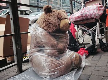 Dog sitting on footpath by street in city