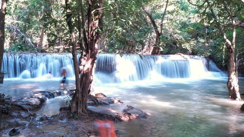 Scenic view of waterfall in forest