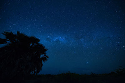 High angle view of horse on field at night