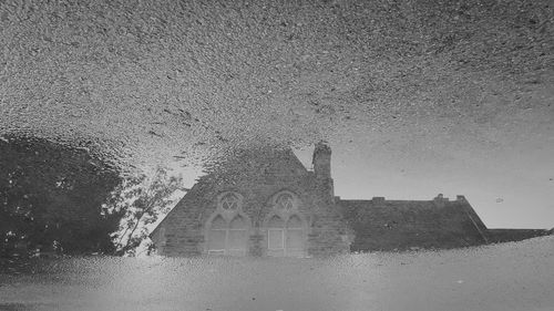 Reflection of trees in puddle