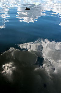High angle view of swans swimming in sea