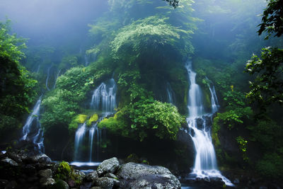 Scenic view of waterfall in forest