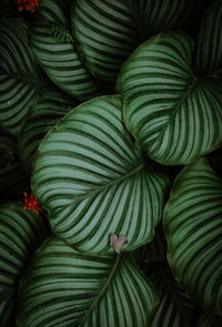 Full frame shot of multi colored wool