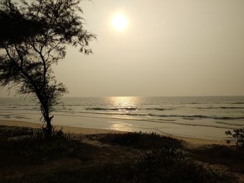 Scenic view of sea during sunset