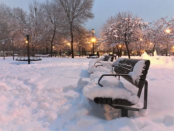 Snow covered park bench