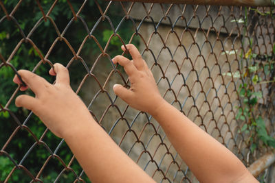 Close-up of hand holding chainlink fence