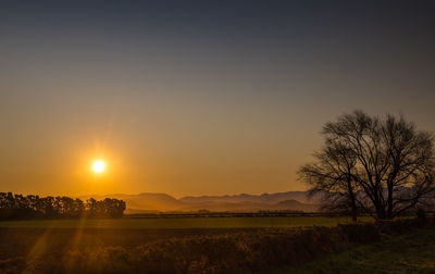 Scenic view of field against sky during sunset