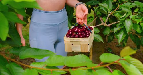 Midsection of woman holding small plant