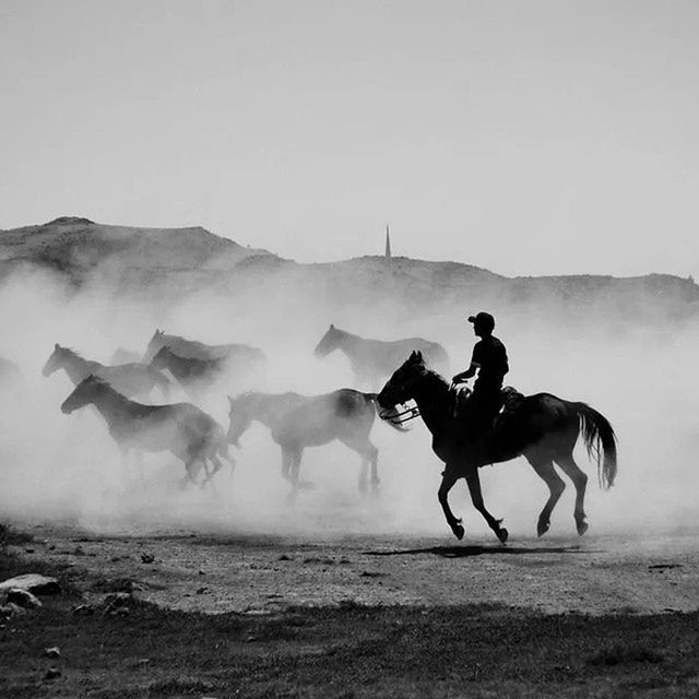 men, horse, full length, leisure activity, lifestyles, horseback riding, silhouette, animal themes, sky, riding, working animal, mountain, standing, nature, walking, desert, skill, clear sky