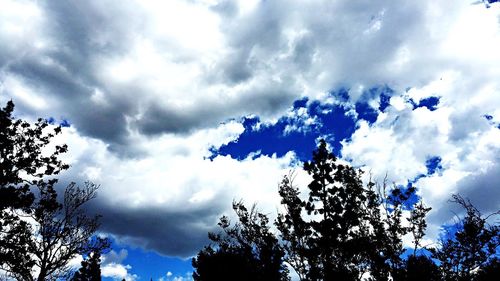 Low angle view of trees against cloudy sky