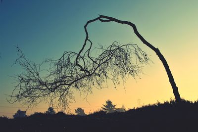 Low angle view of silhouette bare tree against sky during sunset