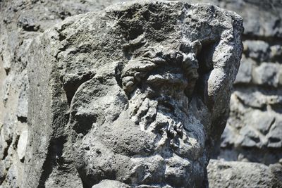 Close-up of rock on tree trunk