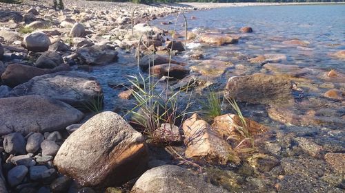 High angle view of rocky beach