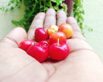 Close-up of hand holding strawberries