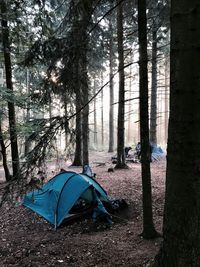 Tent in forest