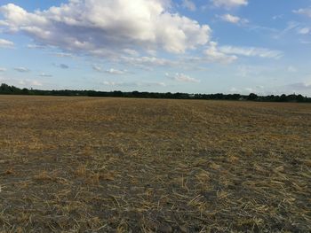 Scenic view of field against sky