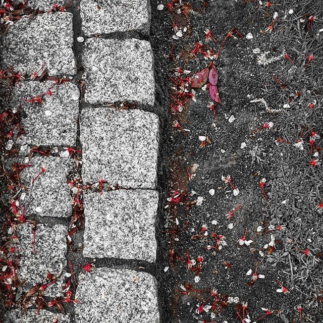 high angle view, street, full frame, textured, cobblestone, red, backgrounds, footpath, day, outdoors, stone - object, paving stone, no people, pink color, leaf, nature, sidewalk, pattern, close-up, abundance