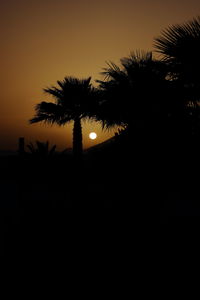 Silhouette palm trees against clear sky at night