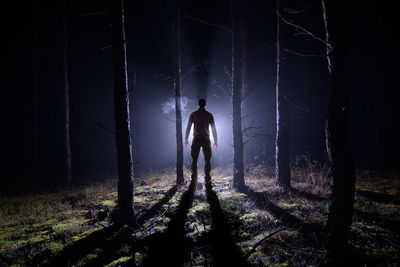 Silhouette man standing in forest at night