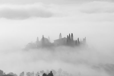 Panoramic view of trees against cloudy sky