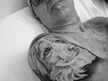 Close-up of cat sleeping on bed at home